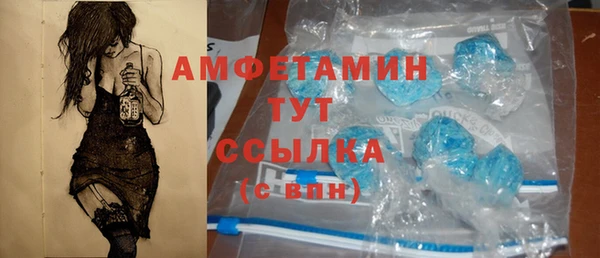 метадон Богданович
