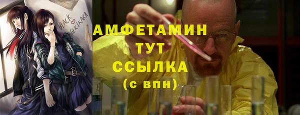 молекула духа Богородицк