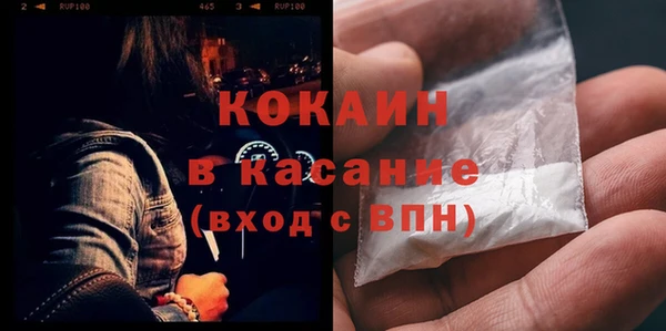 молекула духа Богородицк
