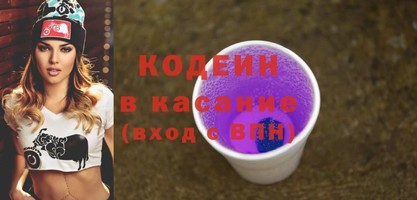 молекула духа Богородицк