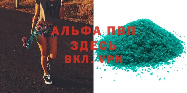 молекула духа Богородицк