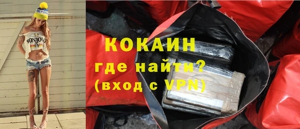 молекула духа Богородицк