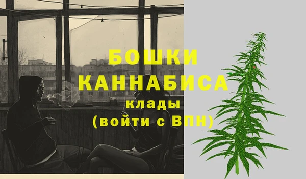 метадон Богданович