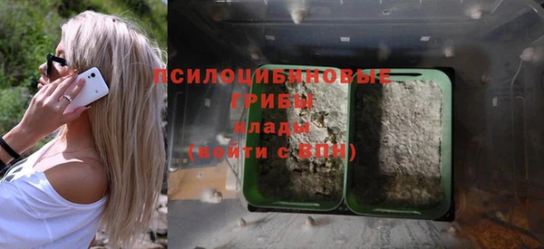 молекула духа Богородицк