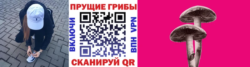 Псилоцибиновые грибы Psilocybine cubensis  Купить закладки  Верхняя Салда 