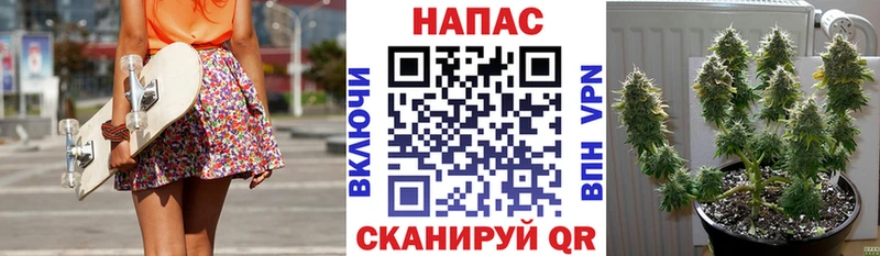 Каннабис SATIVA & INDICA  Купить где  Верхняя Салда 
